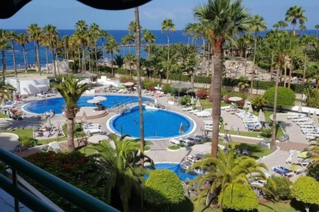 Tropical Apartment - La Caleta contacts
